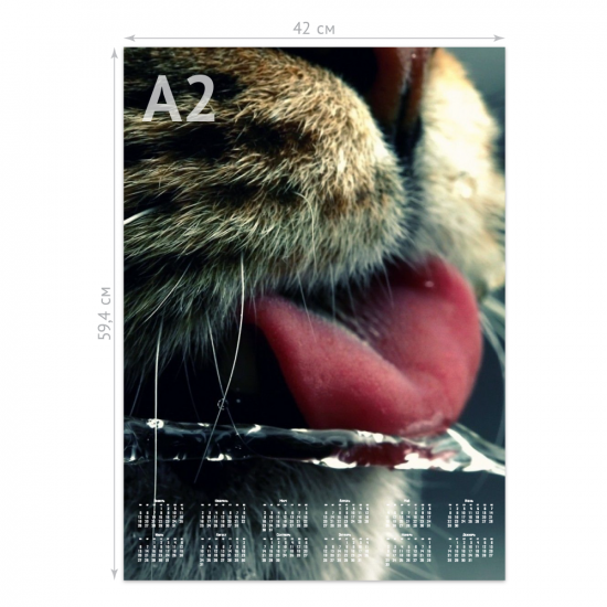 Календарь «Кумир» А2 плакат